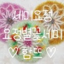 뜨개요정 이미지