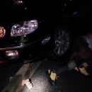 용고길 Daum카페