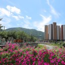 천본2리경로당 이미지