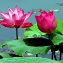 공음농장 이미지