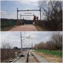 디엠지스테이 이미지