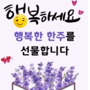 새로운 맘으로 한주도 멋지게~♡ 이미지