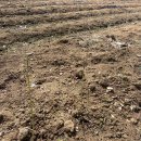 선운(주) 이미지