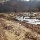 큰원흥천 이미지