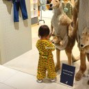 룩앤바이 | 22개월 가을 등원룩 두돌아기 ootd (던스스웨덴, 베네베네, 슈슈앤크라, 나이키, 폴로, 아가방,캉골 등)