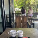 펫블리강아지&미라클고양이 | 치앙마이에서 그냥 여행하는 나, Day 4