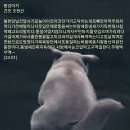 똥강아지 이미지