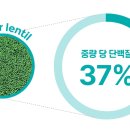 프롯