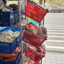 하라 | 4월 하코네 가성비 개인탕 료칸🗻 스스키노하라 이치노유 가이세키 후기 🎐