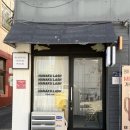 하나쿠래쉬 | 사직동 하나쿠래쉬 브로우리프트펌 후기｜눈썹 하나로 인상 달라짐