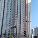 주정차단속-14 이미지