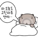 아우네노래연습장 이미지