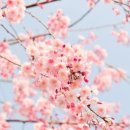 고유 피트니스 이미지