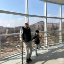 (주)나라고속관광 | 입장료 주차료 무료 충남 예산 예당호전망대 푸드코트