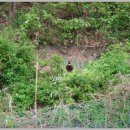 숲속나라 이미지