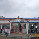 초원도야지