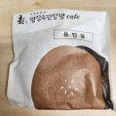 129엘에이비 | 폴또체, 2월 손톱, 고양이 위내시경
