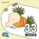 세탁백화점 하이얀마을 | [임신일기⑬] 임신9개월(33~34주) 막달검사, 보건소 산후도우미 신청 그리고 내 일상♥