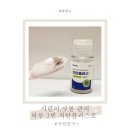 이.플러스 | 스케일링치약 잇몸, 시린이 관리 치탄플러스 2달 사용후기