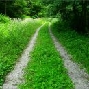 운장산자연휴양림 이미지