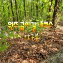 장구봉등산로 이미지