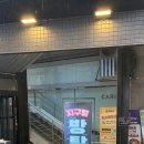 <홍대 방탈출> 멸종위기종탐사대 :: 지구별방탈출 홍대라스트시티 방탈출 꽃길 테마 추천, 4인 후기, 꿀팁