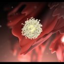 참행복한 약국 이미지