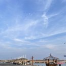 영덕해산물 | 영덕 맛집 매일 바뀌는 신선한 해산물 전문 내돈내산 삼촌카세 후기