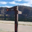 강정보 녹색길 | 대구여행, 대구둘레길 8코스 문양강창길/디트로시민기자단