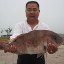 k1한국바다낚시터 이미지