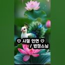 시절인연 법정스님 이미지