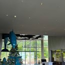 골프나라 | 나트랑 가족여행 #4 / 나트랑 골프 나라빈티엔cc 18홀 가족 라운딩 후기(100% 내돈내산) - 게스트 등록...