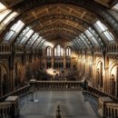 박물관투어 이미지