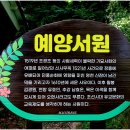 예양 Daum카페