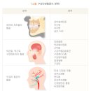경북대학교 치과대학 이미지