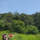 산성마을문고 | [풍수] 벌명당과 봉비포란형의 진가, 고려 문신 신인도의 풍수 이야기