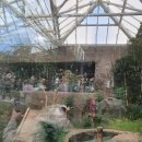 멍's랜드 이미지