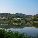 2024 찾아가는 영화관 - 중대물빛공원 이미지