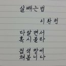 네네치킨네네피자 이미지