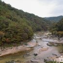 소천로 Daum카페