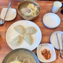 칠보각평양냉면 | [전국/맛집] 2025년 평양냉면 결산 2 - 광화문국밥, 칠보각평양냉면, 숯골원냉면, 부산안면옥 리뷰