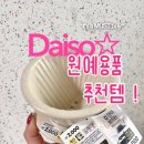 다이소 화분 추천 2000원 커피드리퍼 화분 활용 후기