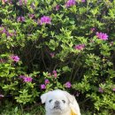 새백제약국 이미지