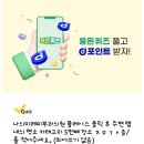 퀴즈펜션 네이버블로그