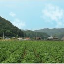 가래울농장 이미지