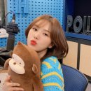 멍멍미용실 네이버블로그