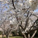 선촌(게이트볼장) 이미지