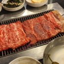 수원-1981 이미지