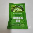 [음료] 내돈내산 소화에 좋은 푸드버킷 양배추즙 후기