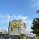 김진혁동태매운탕